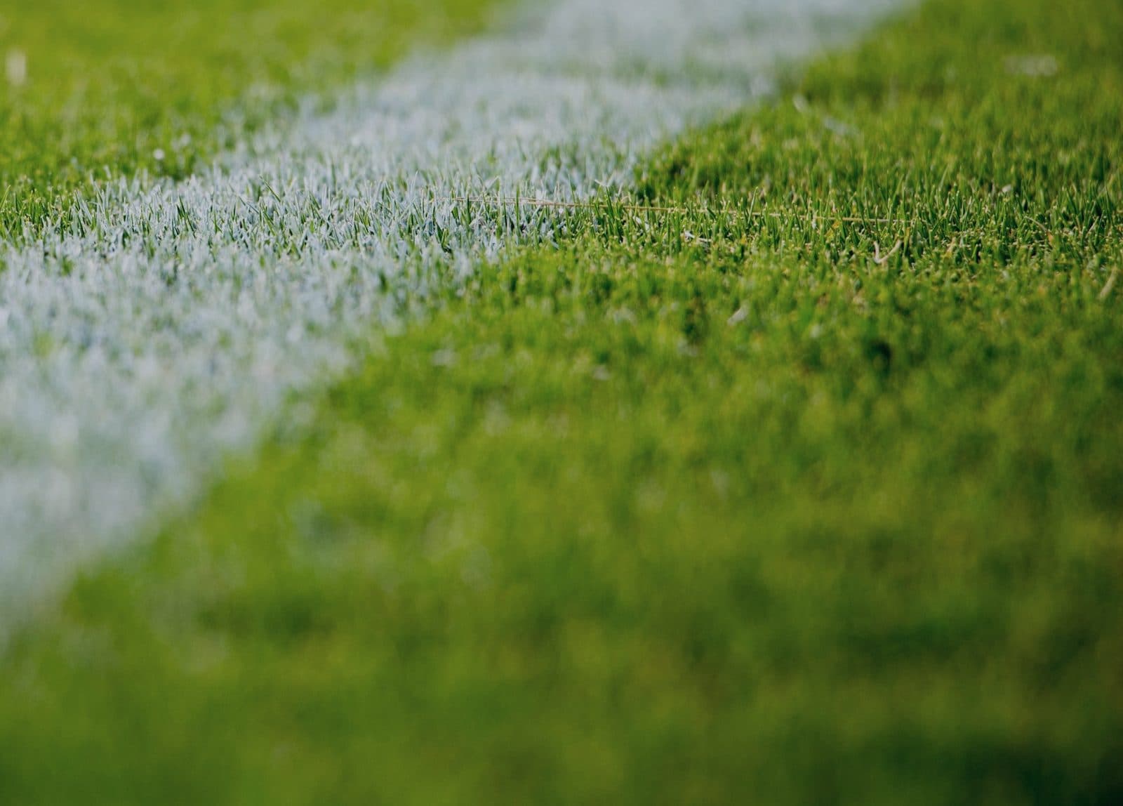 Césped del campo de fútbol del Club Deportivo Don Bosco en Pajarillos